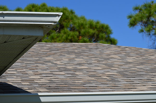 What is the most popular roof in florida? 