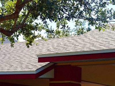 Damaged Shingles Replacement